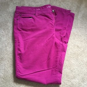 Vibrant Mauve Loft Pants